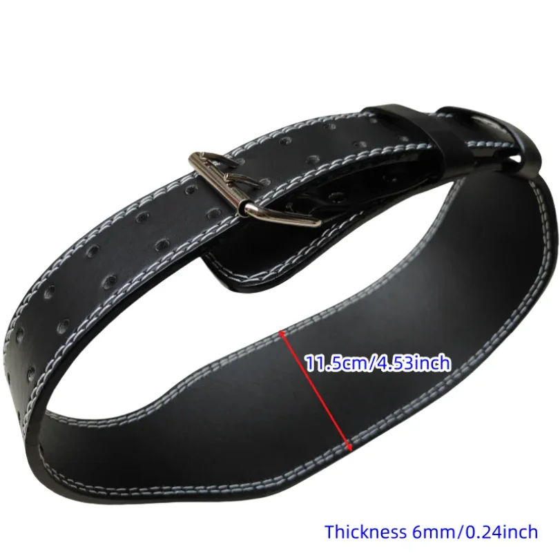 ForgeCore Powerlifting Belt