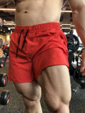 CoreFlex Training Shorts