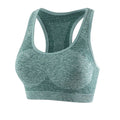 AirFlex Seamless Sports Bra